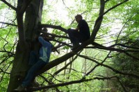 /album/fotogalerie/baum-fruhling-bei-eschdorf-2012-jpg1/